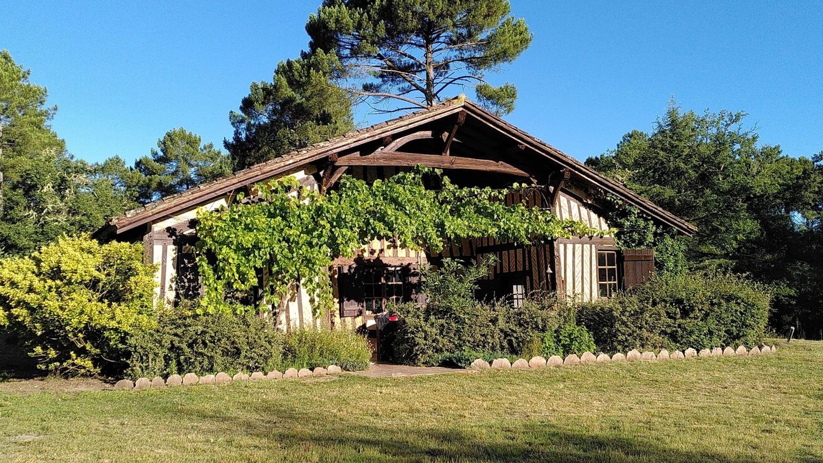 Luxey House | Authentic vast 1850 Landes farmhouse in the heart of the forest with no neighbors 30 p