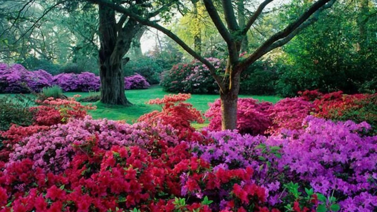 New Forest District Bed & Breakfast | Avalon House B&B