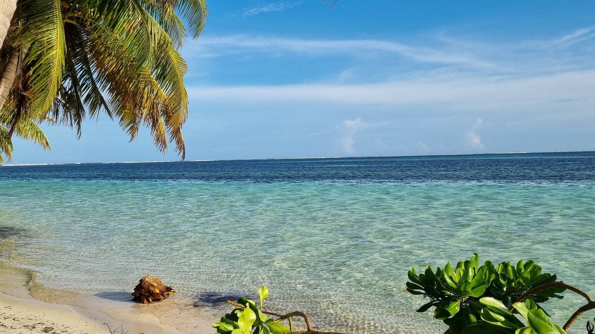 Vaadhoo House | Avanti Surf & Stay