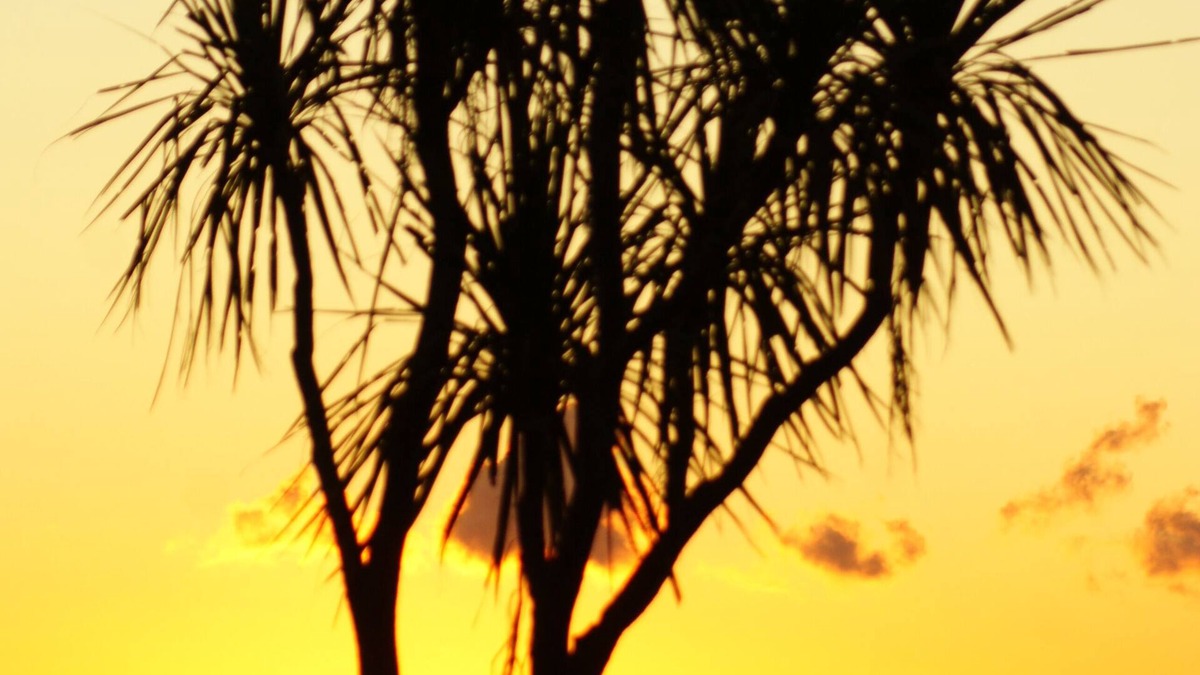 Awatuna Bed & Breakfast | Awatuna Sunset Lodge