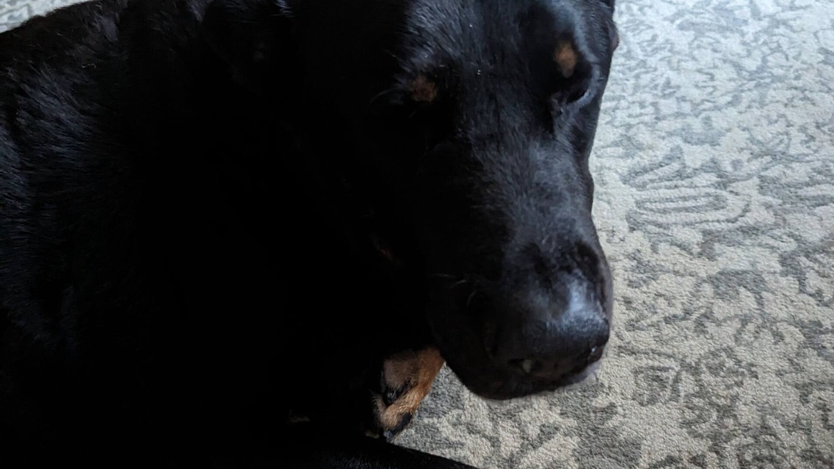 Butler House | awesome awesome