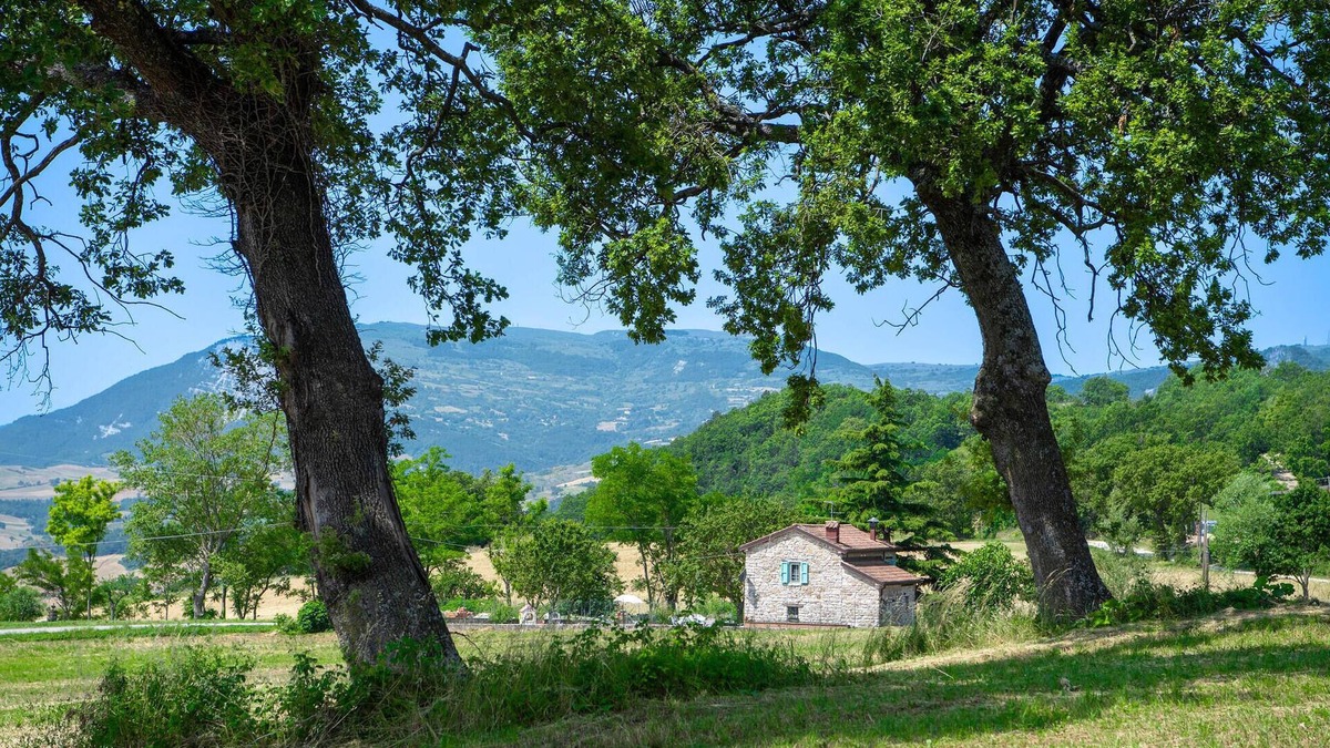 Montegrimano House | Awesome home in Montegrimano Terme PU