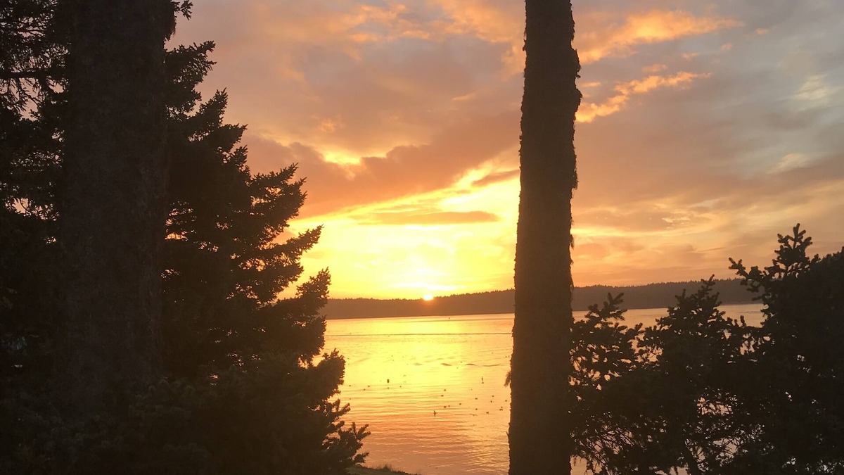 Kodiak Apartment | Awesome View Vacation Rentals: The Mermaid Lair