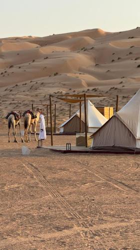 Bidiya Other | AYLA bidiyah