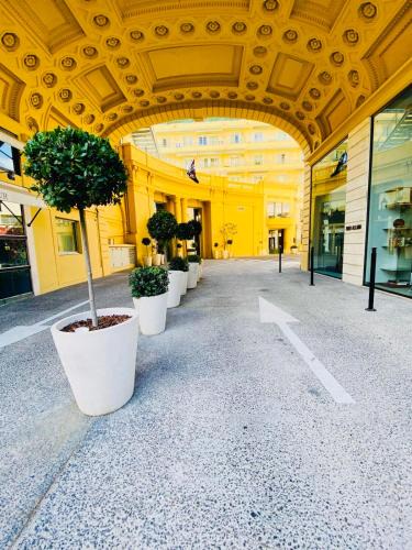 Jean-Medecin Apartment | Azur Verdun