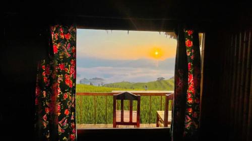 Thong Nguyen Hotel | Bình Mình Homestay