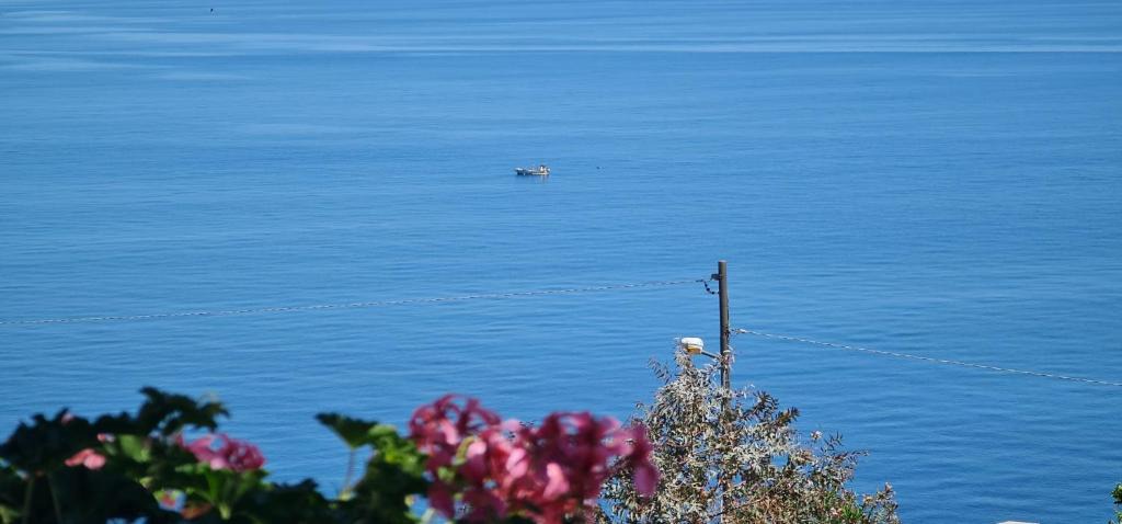 Finale Bed & Breakfast | B&B Aria di Mare - Pollina Sicilia