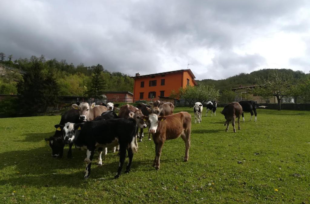 Corniglio Bed & Breakfast | B&B Càsuperchi