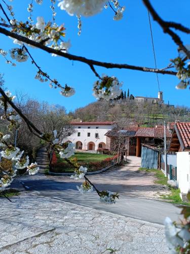 Valdagno Bed & Breakfast | B&B CA PANISACCO