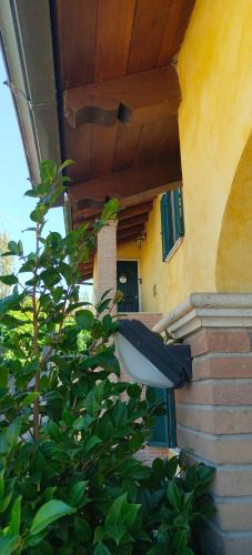 Palestrina Apartment | B&B Camera delle Camelie