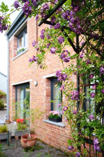 Maldegem Bed & Breakfast | B&B Destiny