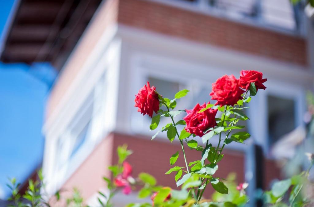 Malonno Bed & Breakfast | B&B Il Pettirosso