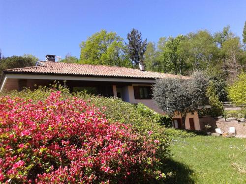 Bracchio Bed & Breakfast | B&B Il Picchio