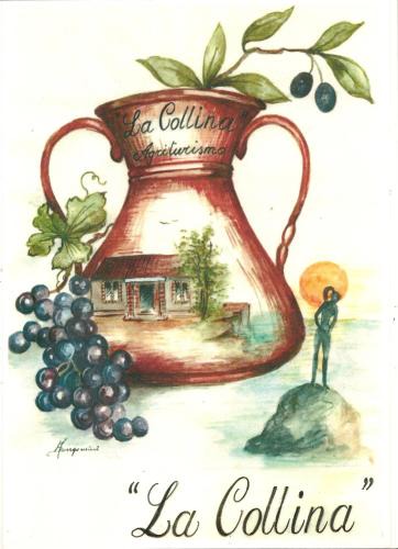 Vasto Bed & Breakfast | B&B La Collina