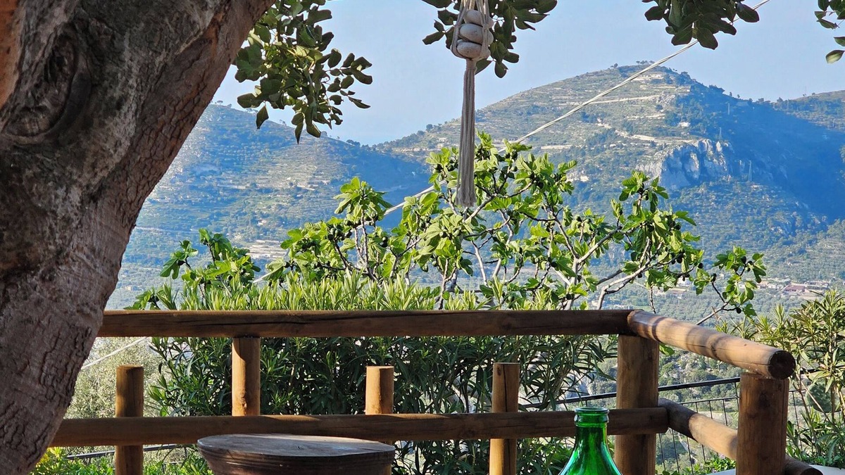 Mattinata Bed & Breakfast | B&B La Scapola Superior room with terrace, in the hills, 2km from the sea