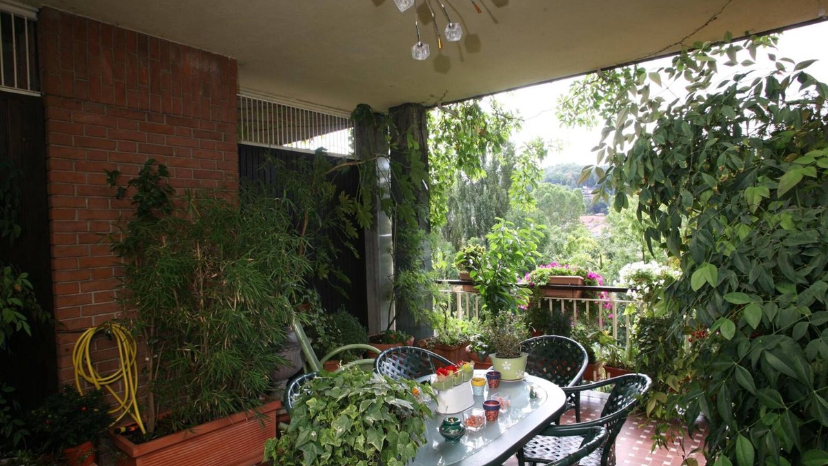 Vanchiglietta Bed & Breakfast | B&B La Terrazza Sul Po