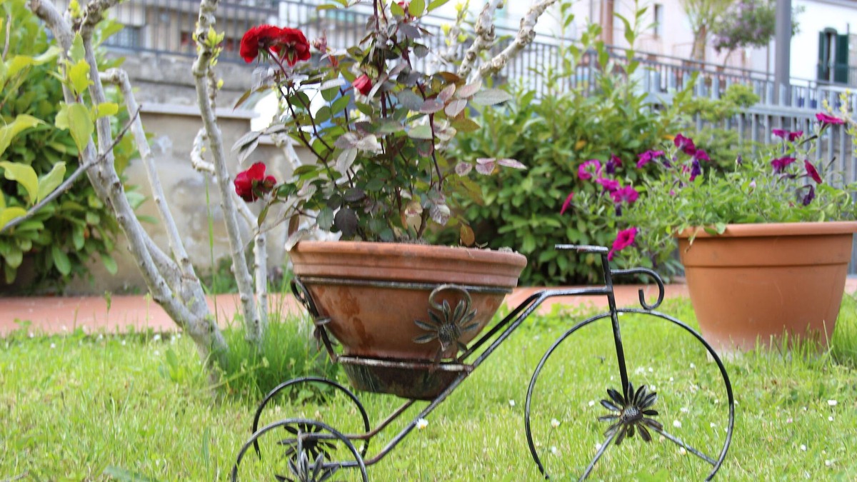 Calvello Bed & Breakfast | B&B Lucantò