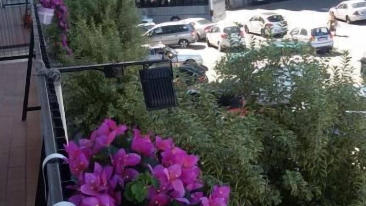 Mendicino Bed & Breakfast | B&B San Francesco