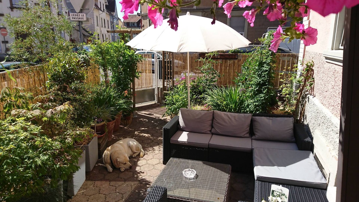 Schiltigheim House | B&B The Cosy Corner, 4stars , Very nice place to stay 2km away from Strasbourg