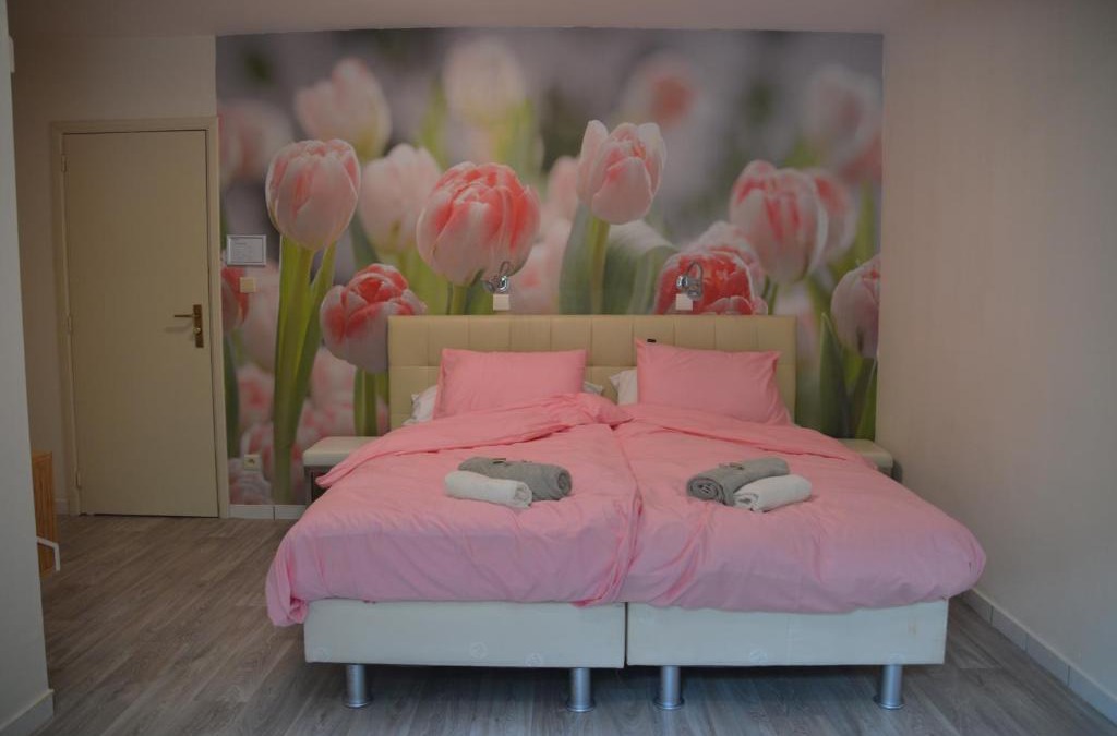 Epelaar Heide Bed & Breakfast | B&B The New Challenge