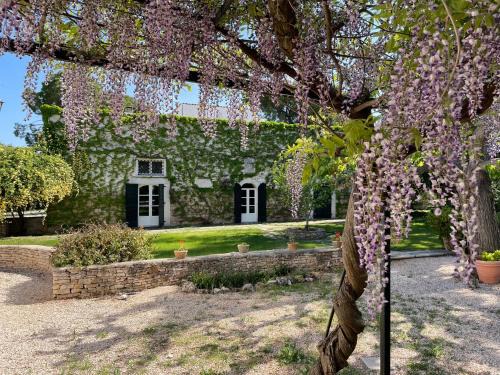 Andria Apartment | B&B Torre Grande