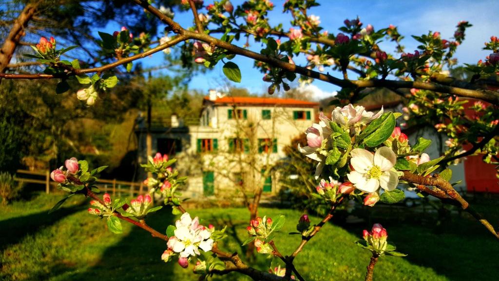 Castiglione Chiavarese Bed & Breakfast | B&B Tre Ponti