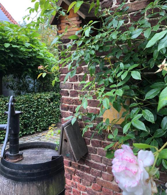 Vremde Bed & Breakfast | B&B Vennehoeve