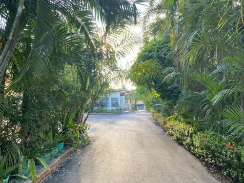 Uttaradit Resort | Baan Suan Palm Resort