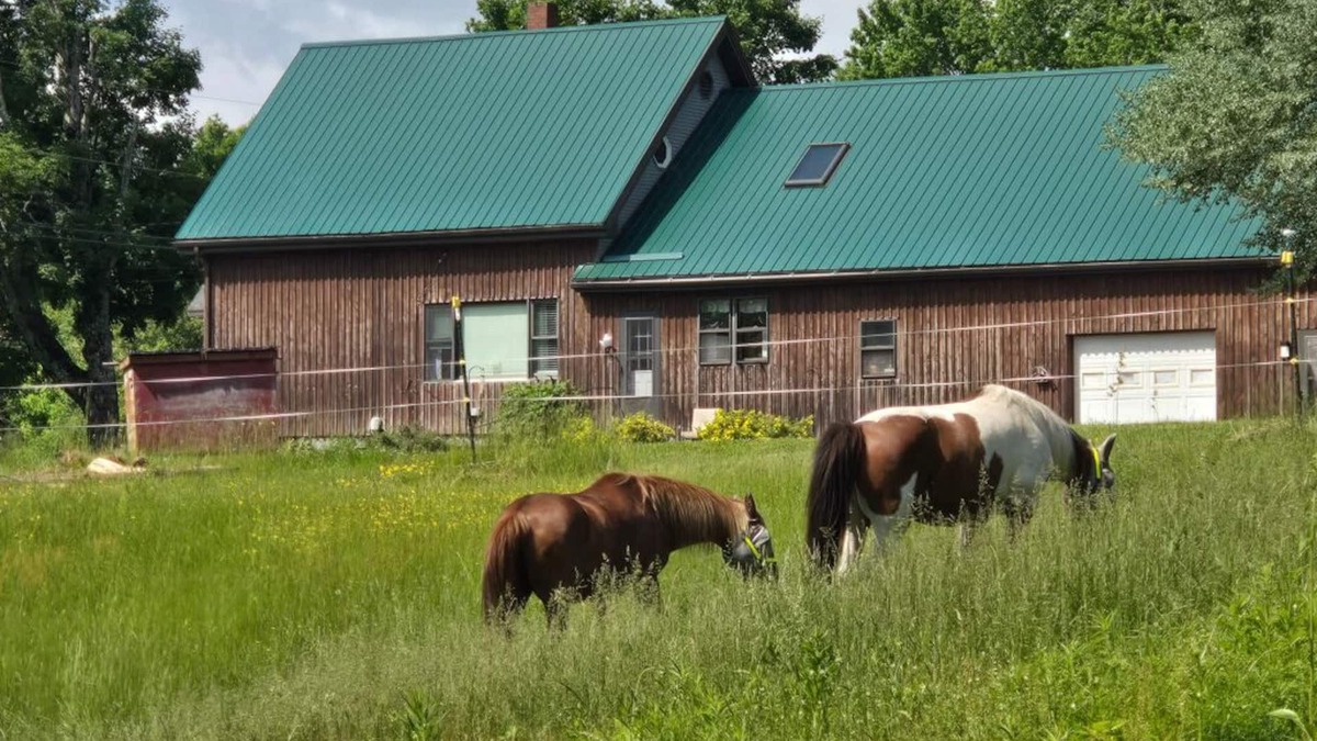 Corinth House | Backyard Bliss Near Bangor Concerts, Hiking, Trails. Pasture for Horses!