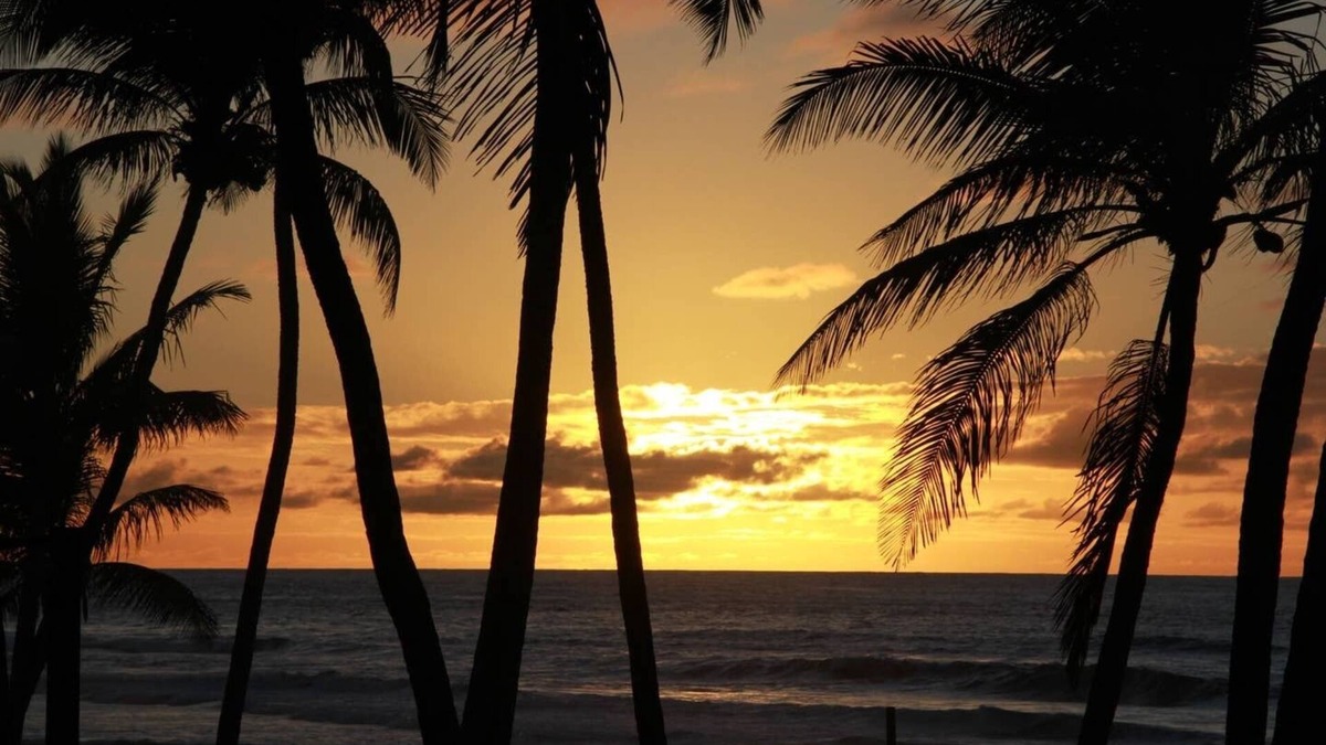 Vilas do Atlantico House | Bahia Beach Front House