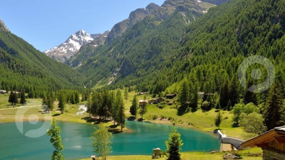 Fenis Cabin | Baita di Montagna per gli Amanti Della Natura e Della Tranquillità