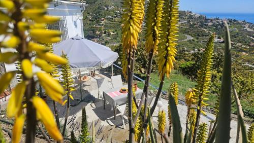 Almunecar Apartment | Balcón de la Loma