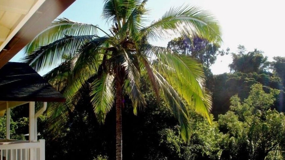 Pauwela Apartment | Bamboo Valley Inn 2BR/1BA Permitted
