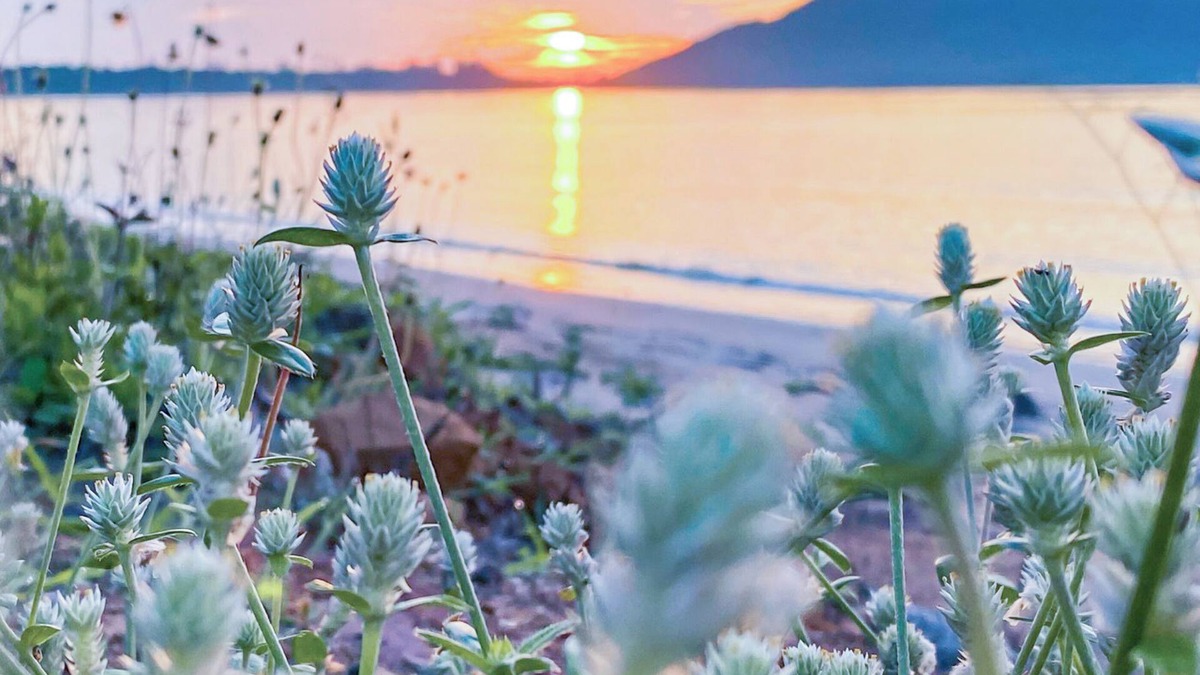 Mae Ram Phueng Hotel | Bang Saphan Resort Hotel