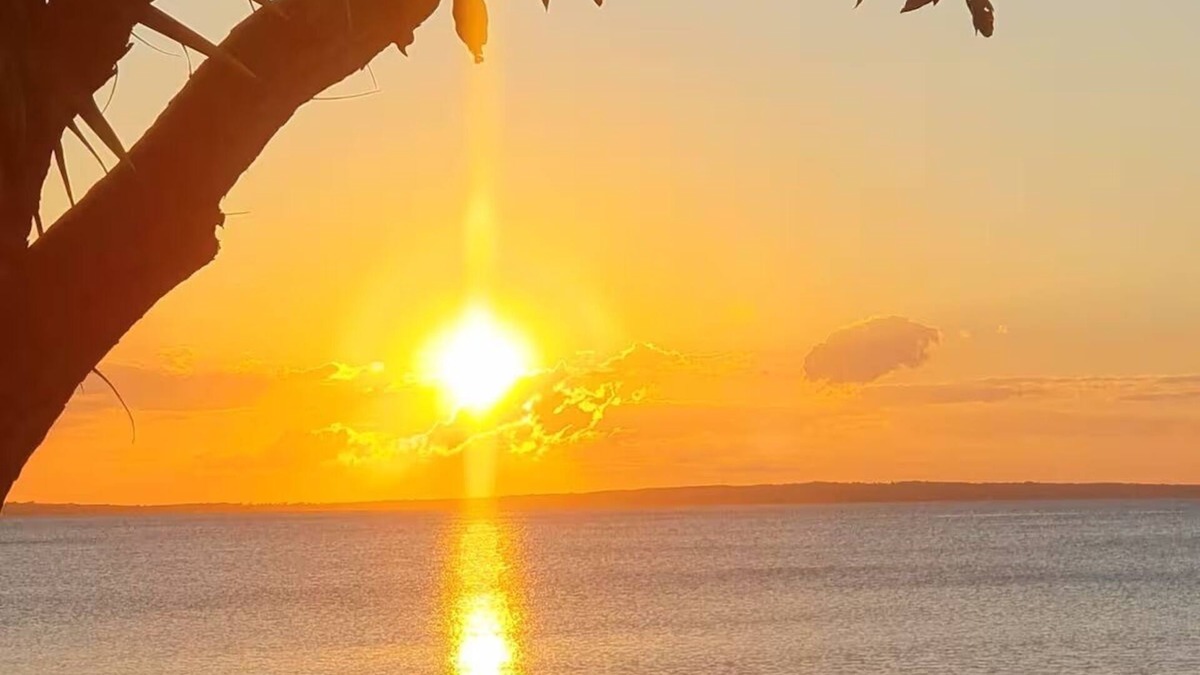 Kingfisher Bay Villa | Banksia Hideaway (K'gari Fraser Island)n#Kingfisher Bay Resort