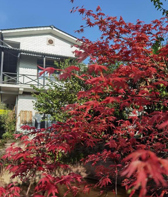 Yucheng District Villa | Banshan Yard