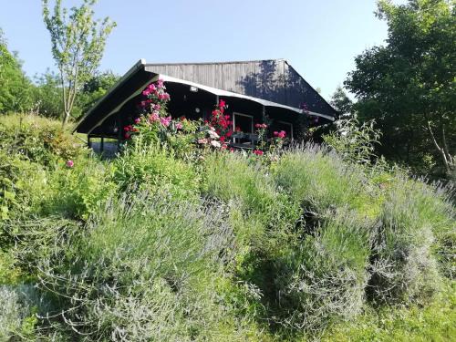 Draz House | Baranja Black Hill's