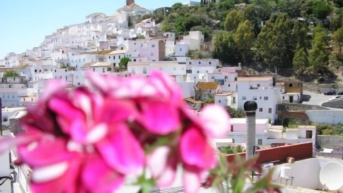 Alcala de los Gazules Cottage | Barbara's house for 2 people. (Double supplement)