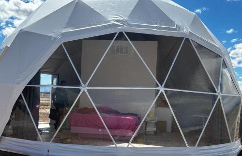 Willcox Other | Barbie Dome