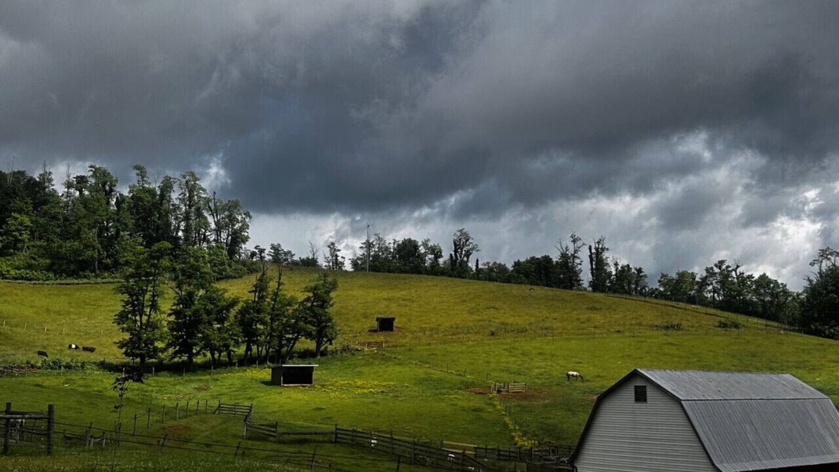 Mouth of Wilson Apartment | Barn Loft on Horse Farm near Grayson Highlands