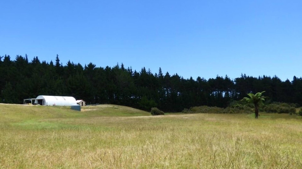 Pukenui House | Barn style holiday accommodation