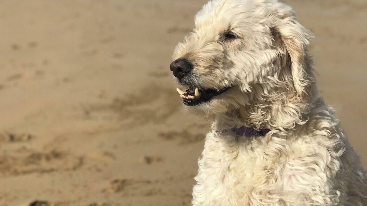 Barwon Heads Cottage | Barwon Cottage