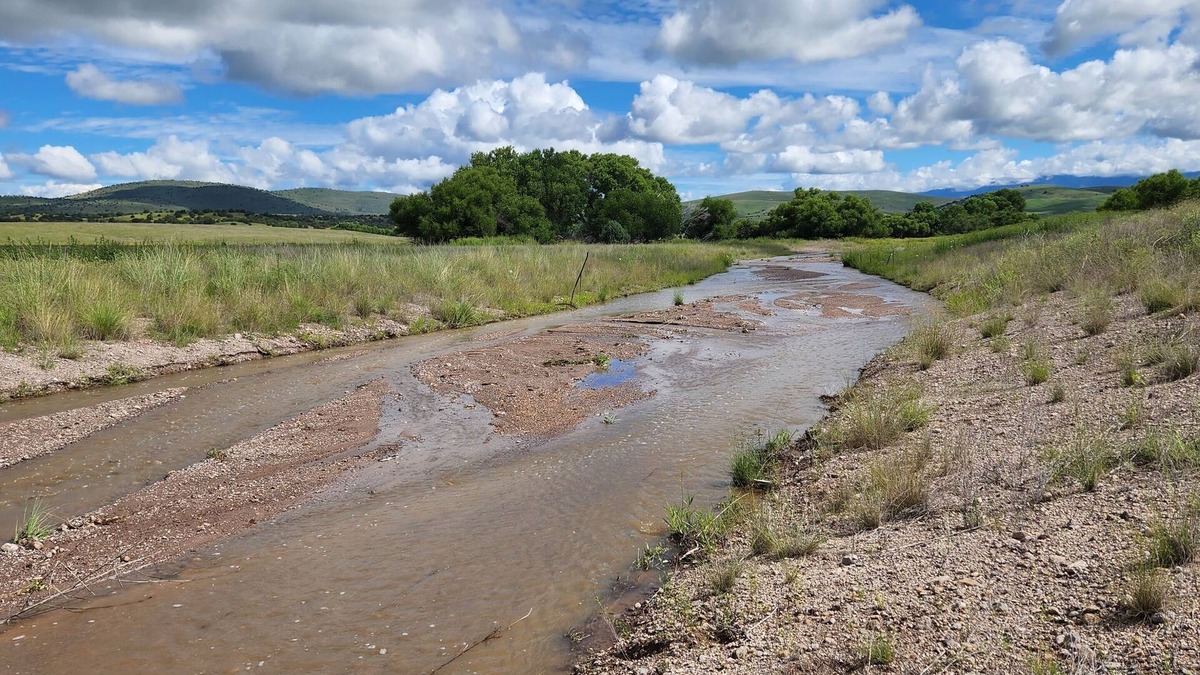 Mule Creek House | Base Camp for Your Southwest Expedition!