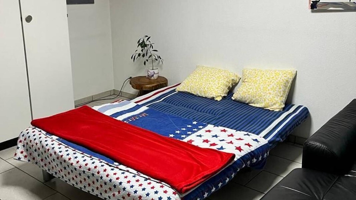 Muttenz Apartment | Basel - 5 mins away - Modern Basement Studio with Kitchen 35m2 in Muttenz