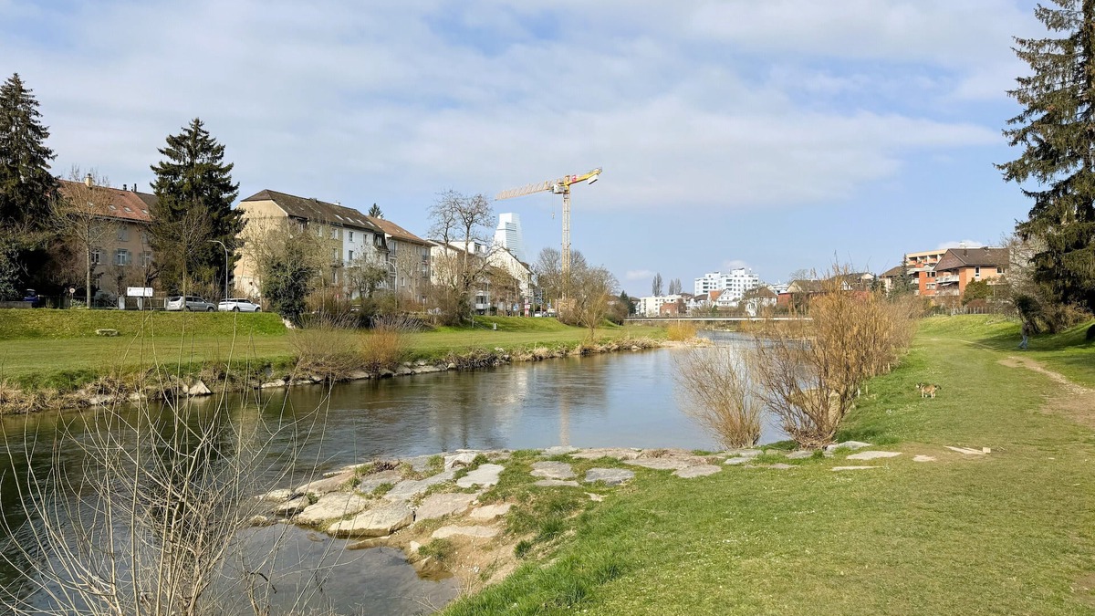 Breite Apartment | Basel River Apartment