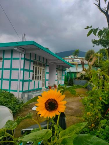 Suja House | Baseraa - Bir's Hidden Comfort