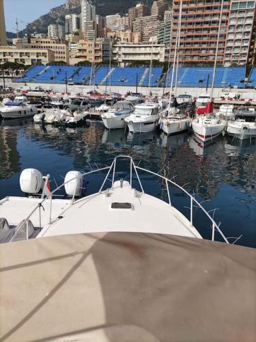 La Condamine Boat Rental | Bateau tout confort au Port de Monaco