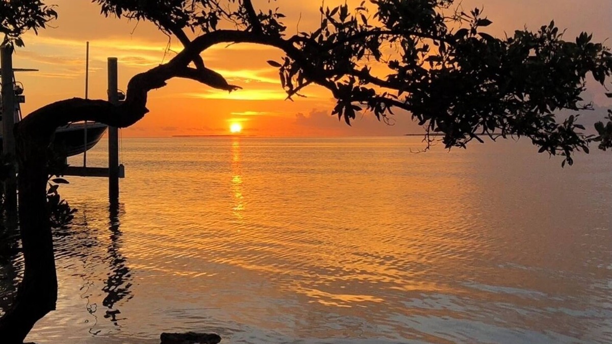 Indian Waterways Villa | Bay view villa in Islamorada, palm trees, shade trees and two private porches