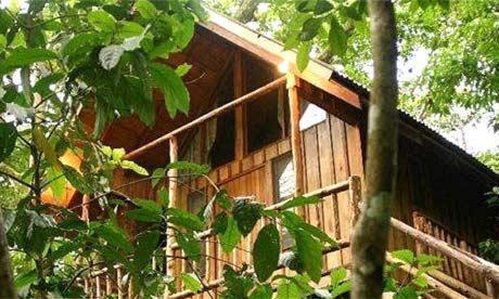 Olympos Hotel | Bayrams Tree Houses