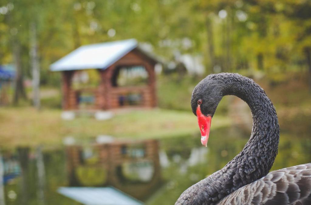 Shatki Hotel | Baza Otdykha Kipyachiy Klyuch